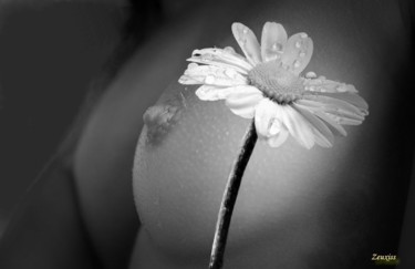 Photography titled "Marguerite" by Zeuxiss, Original Artwork