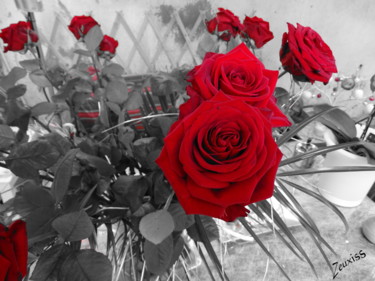 Photographie intitulée "Roses" par Zeuxiss, Œuvre d'art originale