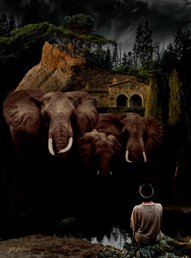 Digitale Kunst mit dem Titel "elephantine" von Gilles Papineau, Original-Kunstwerk, 2D digitale Arbeit
