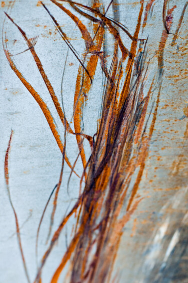 Photographie intitulée "Rust Ribbons" par Pappasbland, Œuvre d'art originale, Photographie numérique