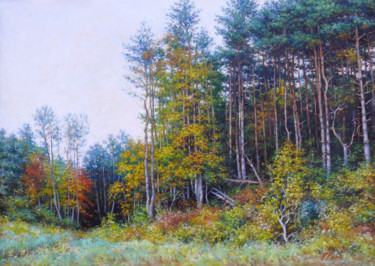 Pittura intitolato "Autumn etude" da Petr Parkhimovitch (parpeter66), Opera d'arte originale, Olio