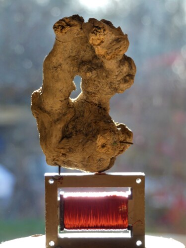 Escultura intitulada "Tête de Buis .2" por Pascal Borgo, Obras de arte originais, Madeira