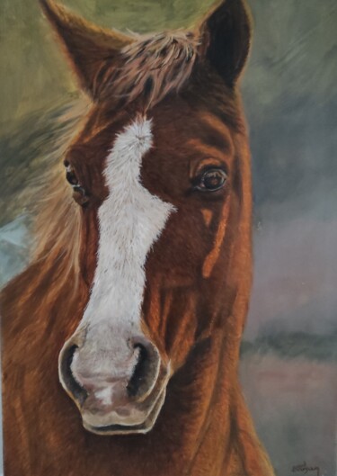 Painting titled "Le cheval" by Pascal Bourgouin, Original Artwork, Oil
