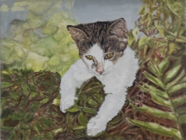Painting titled "chaton" by Pascal Bourgouin, Original Artwork, Oil Mounted on Wood Stretcher frame