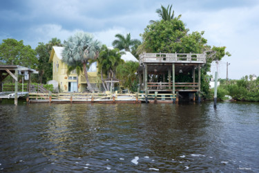 Photographie intitulée "Les Everglades - Pa…" par Pascal Caperon, Œuvre d'art originale