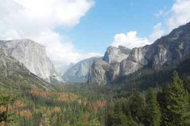 Fotografia intitolato "Yosemite park" da Pascal Carro (PKRO), Opera d'arte originale, Fotografia non manipolata