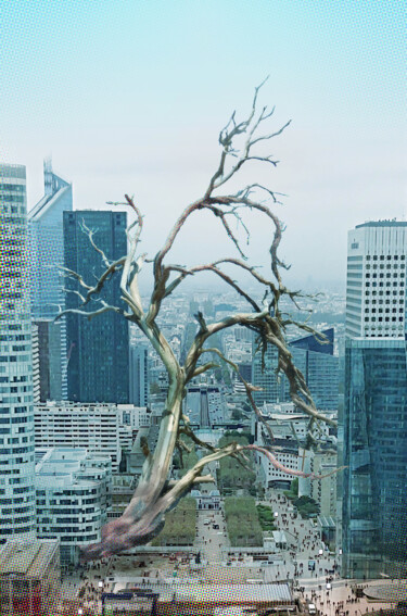 "TreeX" başlıklı Dijital Sanat Pascal Carro (PKRO) tarafından, Orijinal sanat, Foto Montaj