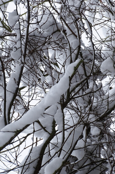 Photographie intitulée "Snow covered nature…" par Pascal Carro (PKRO), Œuvre d'art originale, Photographie non manipulée