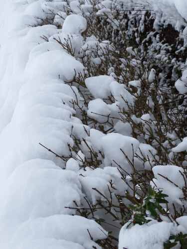 Fotografia intitolato "Snow covered nature…" da Pascal Carro (PKRO), Opera d'arte originale, Fotografia non manipolata