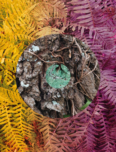 Photography titled "Nature Circle #5" by Pascal Carro (PKRO), Original Artwork, Manipulated Photography