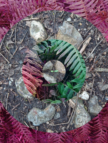 Photographie intitulée "Nature Circle #6" par Pascal Carro (PKRO), Œuvre d'art originale, Photographie manipulée