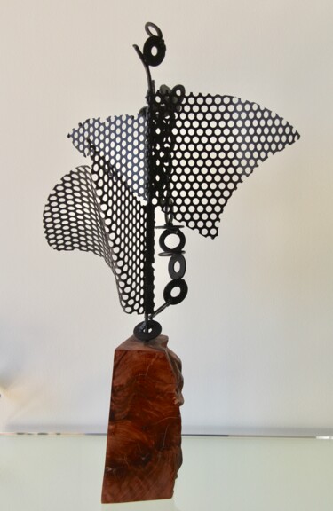 Escultura titulada "Envol" por Pascal Cavalli, Obra de arte original, Metales