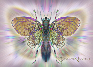 Arts numériques intitulée "Lepidoptere Halluci…" par Pascal Chanier, Œuvre d'art originale