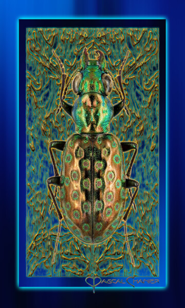 Digital Arts titled "Création Entomologi…" by Pascal Chanier, Original Artwork