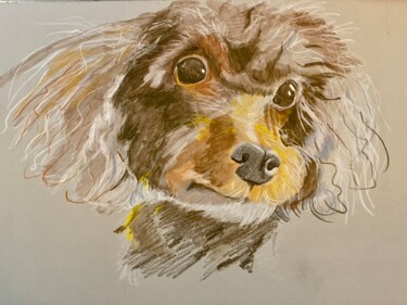 Painting titled "La chienne Mia" by Pascal Newton, Original Artwork, Watercolor
