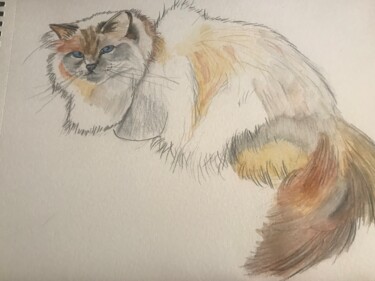Painting titled "Le chat Lewis" by Pascal Newton, Original Artwork, Watercolor