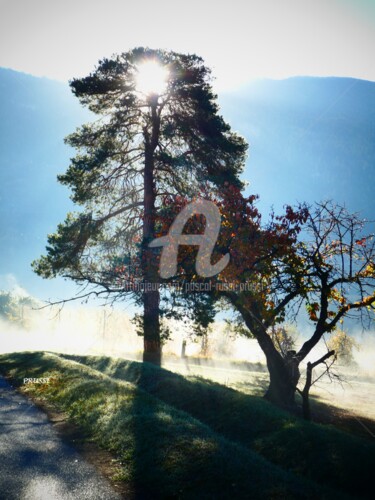 Fotografia intitolato "Automne valaisan." da Pascal Russi (PRussi), Opera d'arte originale