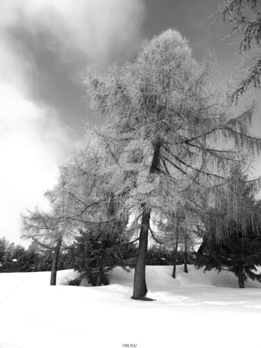 Photography titled "Hiver" by Pascal Russi (PRussi), Original Artwork