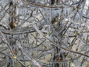 Photographie intitulée "Protection contre l…" par Pascal Russi (PRussi), Œuvre d'art originale