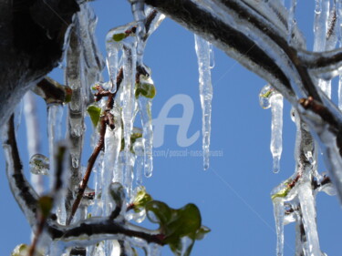 Photography titled "Protection contre l…" by Pascal Russi (PRussi), Original Artwork