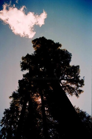 Photography titled "aerial" by Pascal Senequier Buquen, Original Artwork