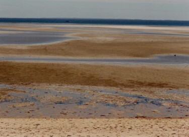 "low tide" başlıklı Fotoğraf Pascal Senequier Buquen tarafından, Orijinal sanat