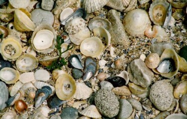 Photography titled "shells" by Pascal Senequier Buquen, Original Artwork