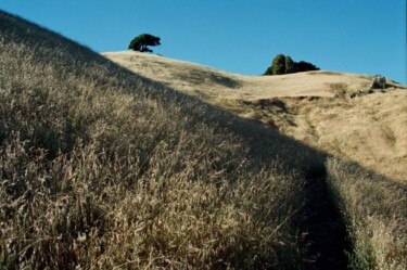 Photographie intitulée "uplifting" par Pascal Senequier Buquen, Œuvre d'art originale