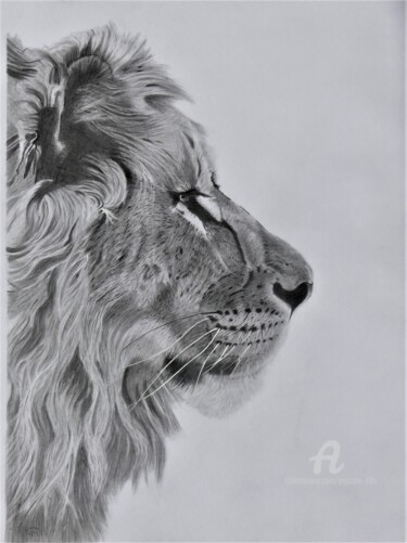 Drawing titled "Le Lion," by Pascale Scheip, Original Artwork, Graphite
