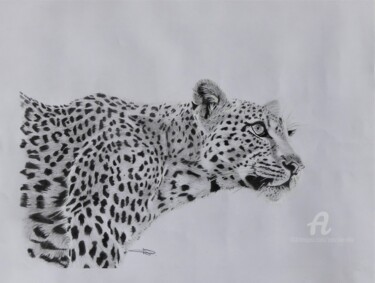 Drawing titled "Le léopard" by Pascale Scheip, Original Artwork, Graphite