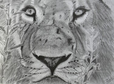 Dessin intitulée "Le Roi  Lion," par Pascale Scheip, Œuvre d'art originale, Graphite