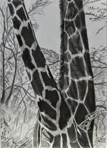 Рисунок под названием "Girafes" - Pascale Scheip, Подлинное произведение искусства, Карандаш