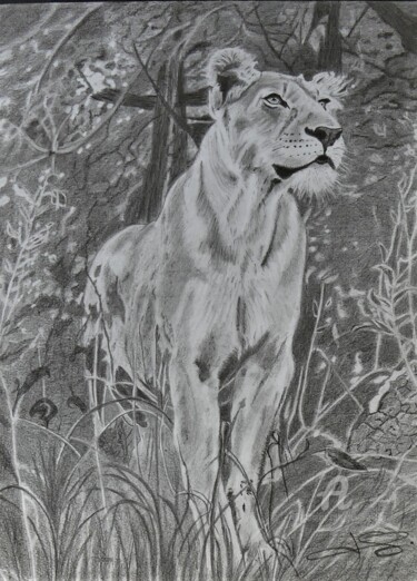 Drawing titled "La lionne," by Pascale Scheip, Original Artwork, Pencil