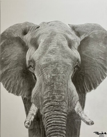 "Éléphant d’Afrique" başlıklı Resim Pascale Scheip tarafından, Orijinal sanat, Kalem