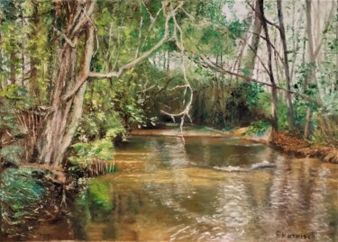 Le courant d'Huchet Peinture intitulée "Le courant d'Huchet" par Pascale Harnisch, Œuvre d'art originale, Huile