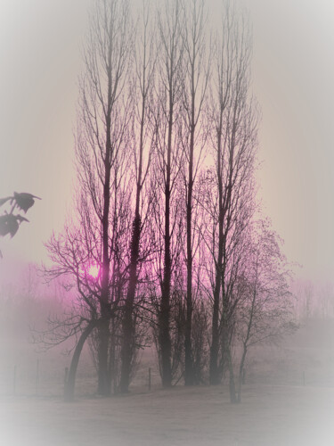 Digital Arts titled "LES ARBRES TENDRES" by Pascale Rey-Texier, Original Artwork, Photo Montage