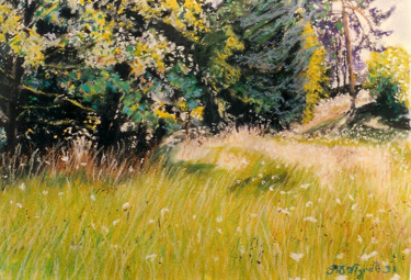 Peinture intitulée "Le parc du chateau…" par Pascale Dormoy-Vignals, Œuvre d'art originale, Pastel