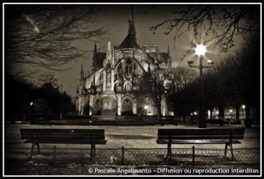 Photographie intitulée "Notre Dame 2" par Pascale Angelosanto, Œuvre d'art originale