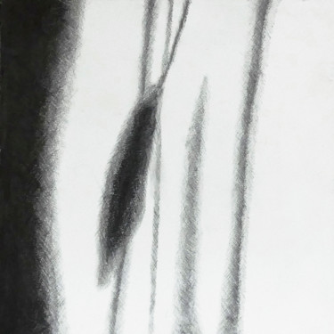 Drawing titled "Moisson d'ombres 1" by Pascale Aurignac, Original Artwork, Pencil