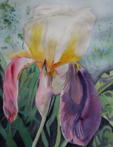 Painting titled "iris jaune et viole…" by Pascale Coutoux, Original Artwork, Watercolor