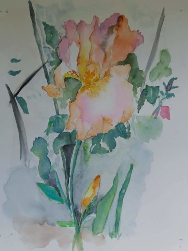Painting titled "iris mordorée" by Pascale Coutoux, Original Artwork, Watercolor