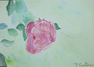 Painting titled "Rose rose" by Pascale Coutoux, Original Artwork, Watercolor