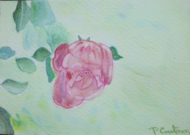 Malerei mit dem Titel "Rose rose" von Pascale Coutoux, Original-Kunstwerk, Aquarell