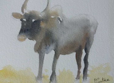 Painting titled "Zébu des hauts plat…" by Pascale Coutoux, Original Artwork, Watercolor