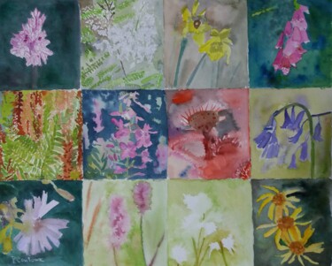 Painting titled "Fleurs du morvan" by Pascale Coutoux, Original Artwork, Watercolor