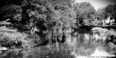 Photographie intitulée "jardin Minelle Arras" par Pascaline, Œuvre d'art originale, Photographie manipulée