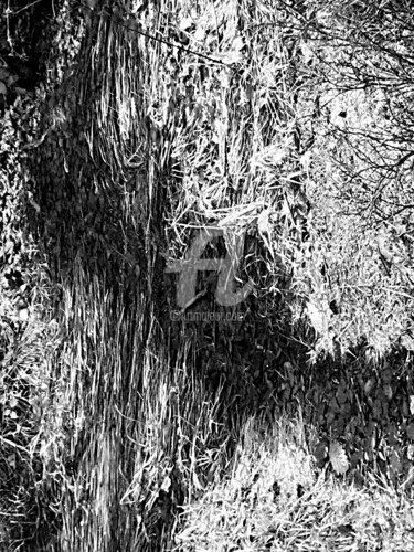 Photographie intitulée "Flan de montagne" par Pascaline, Œuvre d'art originale, Photographie numérique