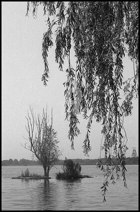 Photographie intitulée "Une île à Condé sur…" par Pascaline, Œuvre d'art originale