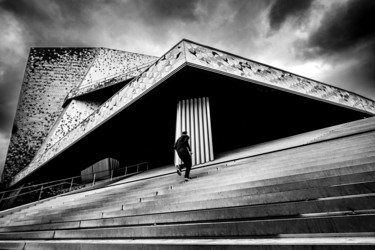 Fotografía titulada "Philharmonie Paris" por Pascal Nedjar, Obra de arte original, Fotografía digital