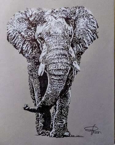 Tekening getiteld "Elefante" door Pasquale Luzzo, Origineel Kunstwerk, Balpen